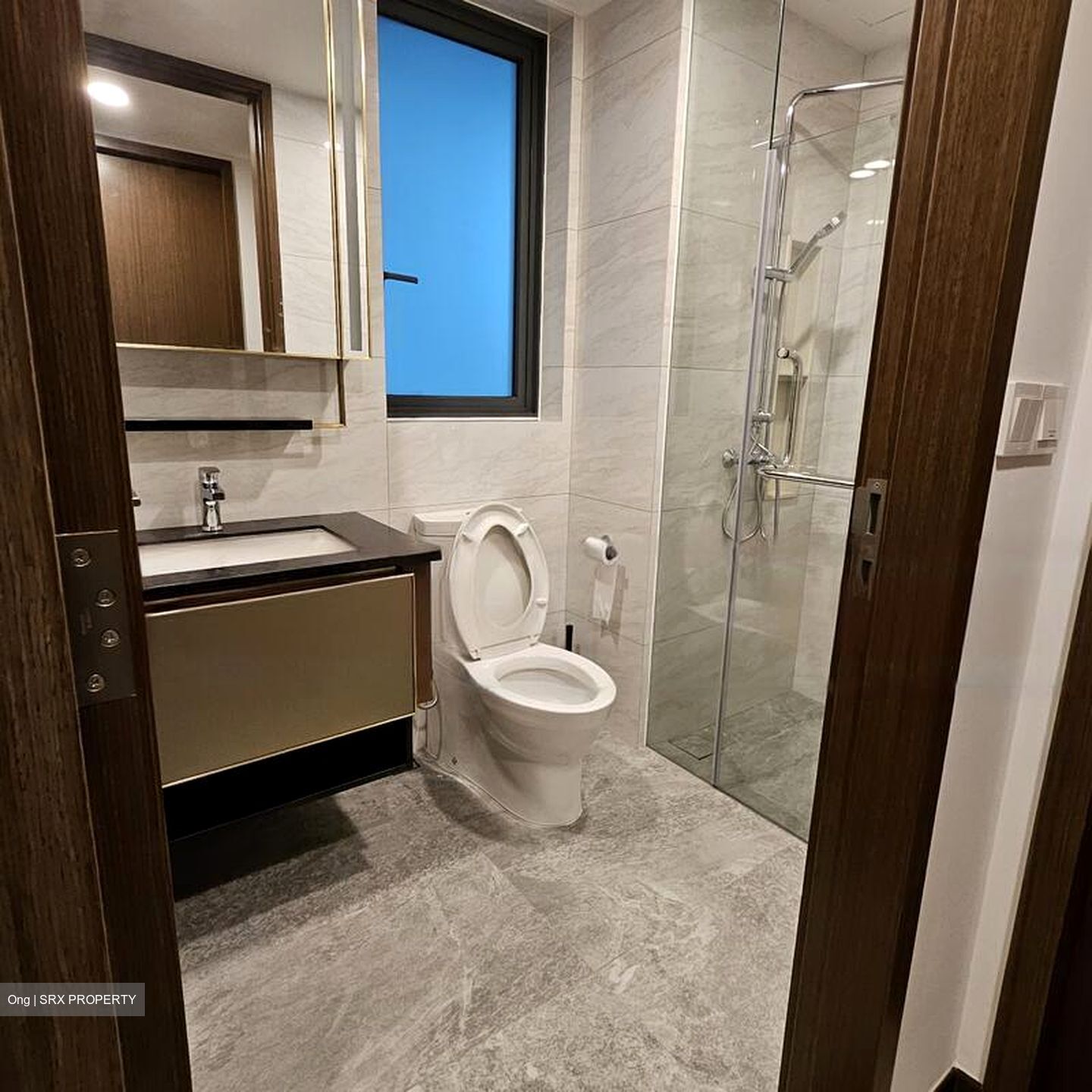 Normanton Park (D5), Apartment #577090811